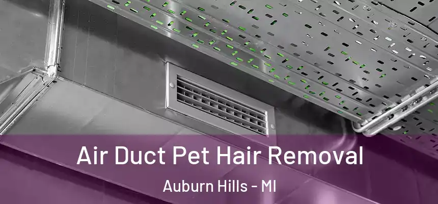  Air Duct Pet Hair Removal Auburn Hills - MI
