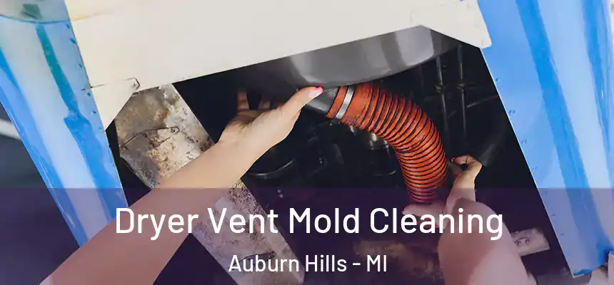  Dryer Vent Mold Cleaning Auburn Hills - MI