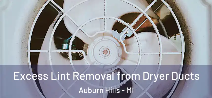  Excess Lint Removal from Dryer Ducts Auburn Hills - MI