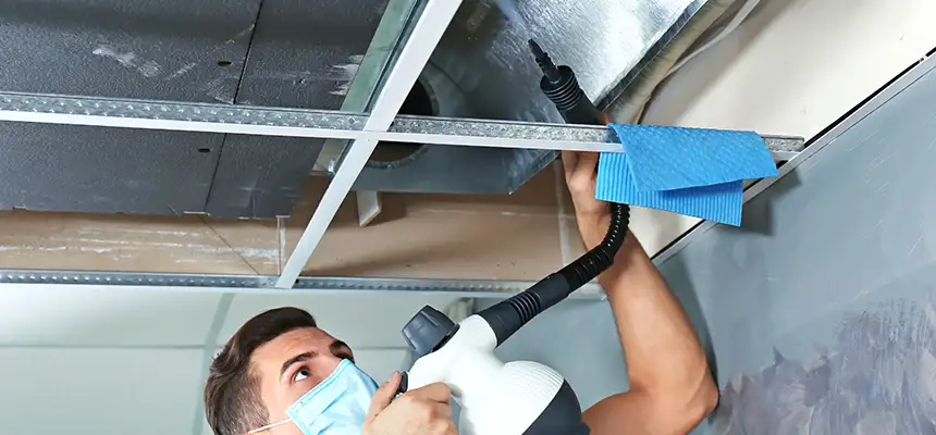 Our Air Duct Rodent Removal Services in Auburn Hills, MI