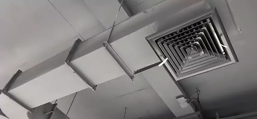 Restorative Allergy Relief Vent Cleaning – Coil, Blower & Housing Detail in Auburn Hills