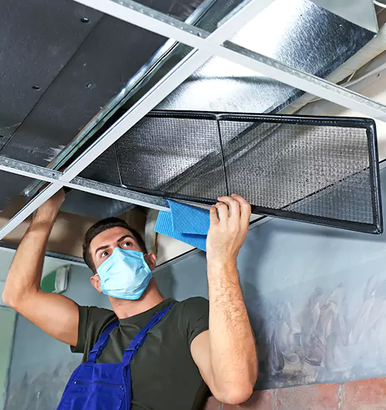 About Air Duct Bacteria Removal in Auburn Hills