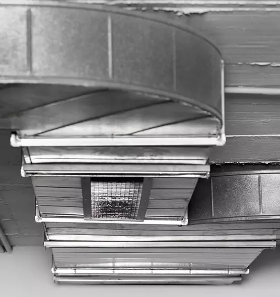 Professional Air Duct Pest Removal in Auburn Hills, MI