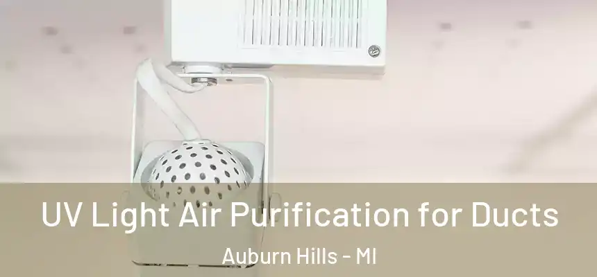  UV Light Air Purification for Ducts Auburn Hills - MI